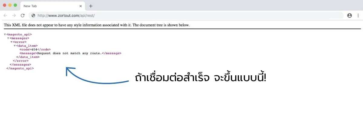 เชื่อมMag2.webp